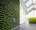 Green wall in the hotel lobby