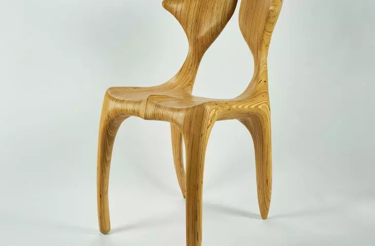 Dune chair by Cyril Zakrzewski