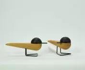 Tern, Studio 1:1