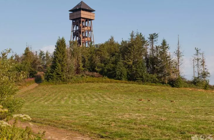 wieża widokowa na Lubaniu