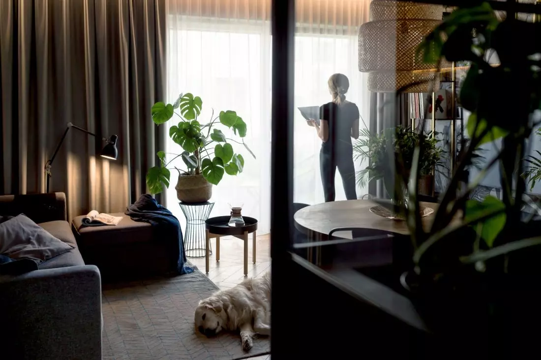 widok na salon