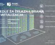 Kategoria 3 — Najlepszy projekt ekologiczny