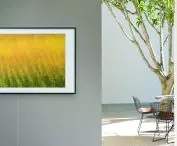 thanks to the picture adaptation function, the TV automatically adjusts the contrast and backlight level of the screen