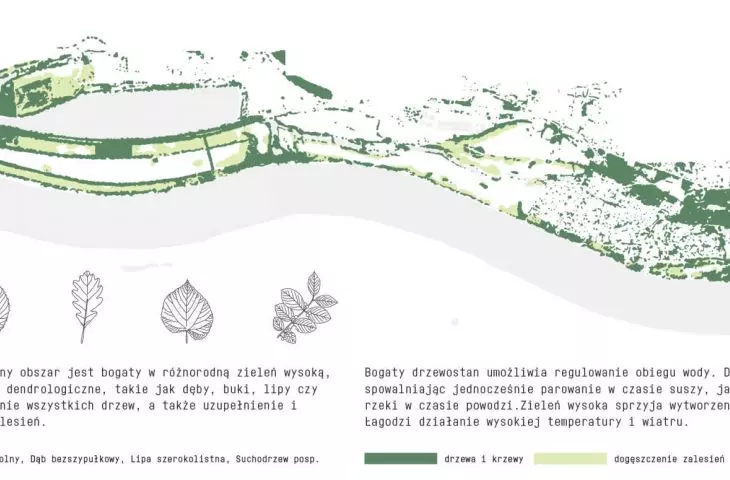 dendrology