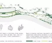 dendrologia
