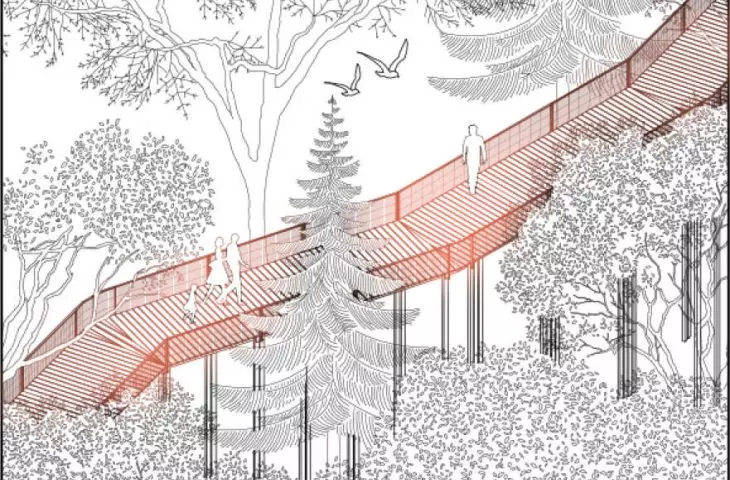 path among the trees
