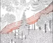 path among the trees