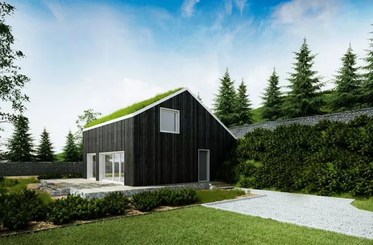 house design with green roof