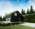 house design with green roof