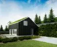 projekt domu z zielonym dachem