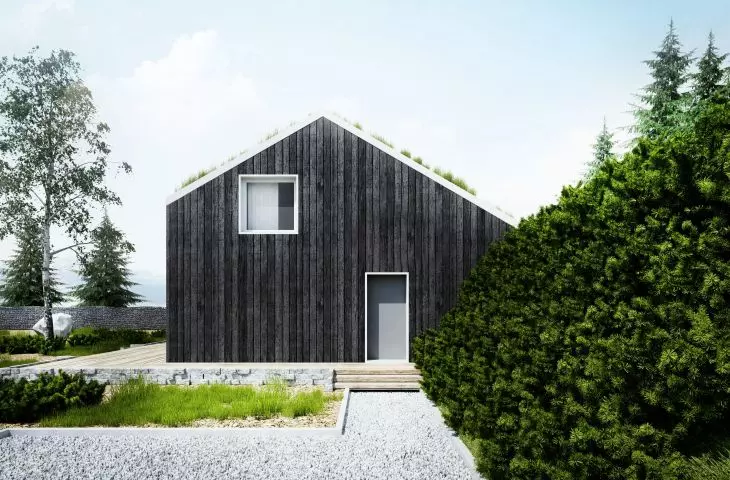projekt domu z zielonym dachem