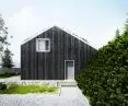 house design with green roof