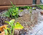 Rain garden