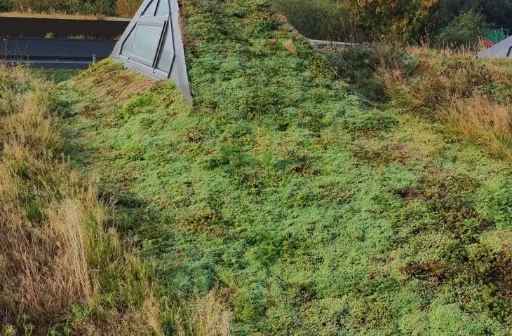 skylight protruding above the roofline