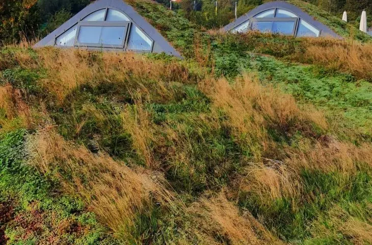 Splendidly resembling green hills