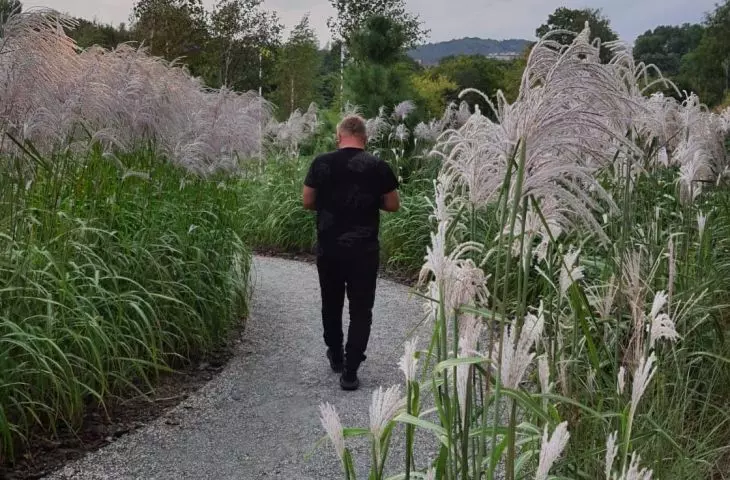 Paths on solid ground planted with tall grasses