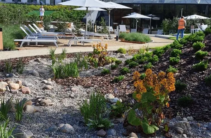 Recreation area