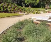 Paths on solid ground 