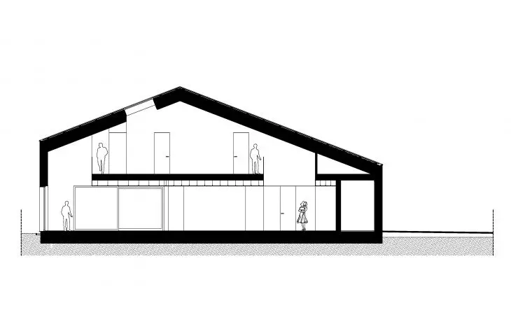 section