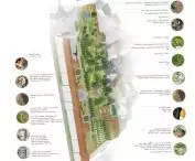 plan zagospodarowania terenu
