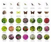 plants, insects, birds and small animals found in the park