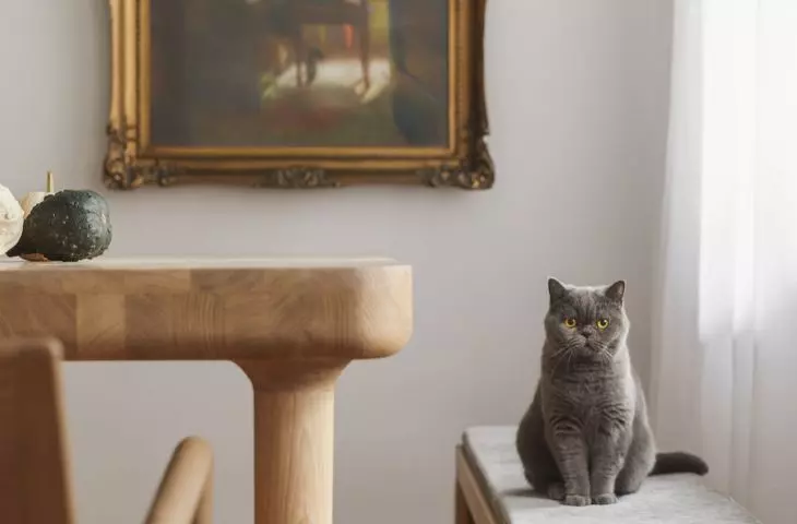 oil paintings, pastels and graphics by Stanislaw Klimowski were used to decorate the walls in the living room