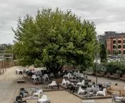 KONTENERART'19, Poznań, proj.: wiercinski-studio