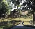 patio — zielone serce budynku