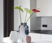 island on the background of a white kitchen