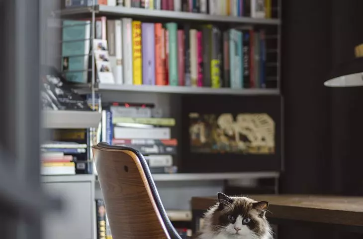 biblioteczka w gabinecie
