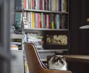 biblioteczka w gabinecie