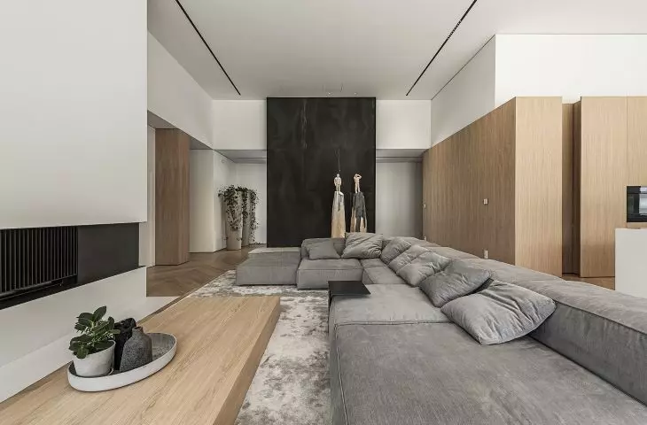 luxurious and minimalist interior