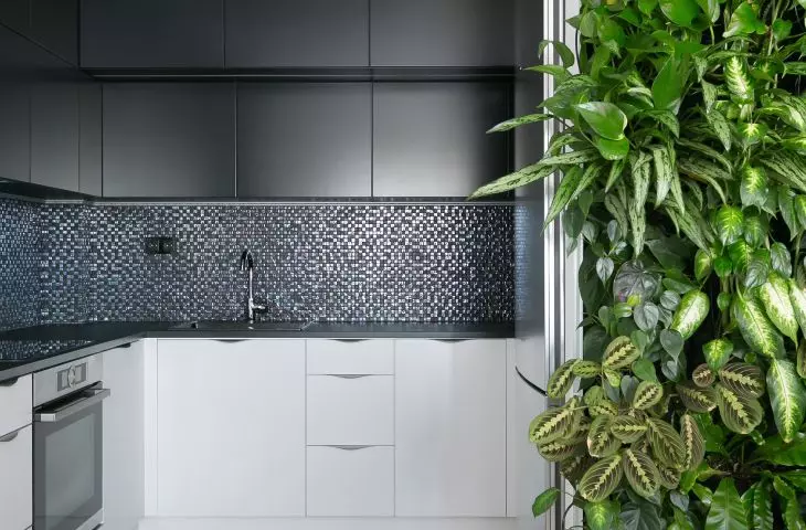 A wall of living greenery