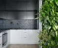 A wall of living greenery