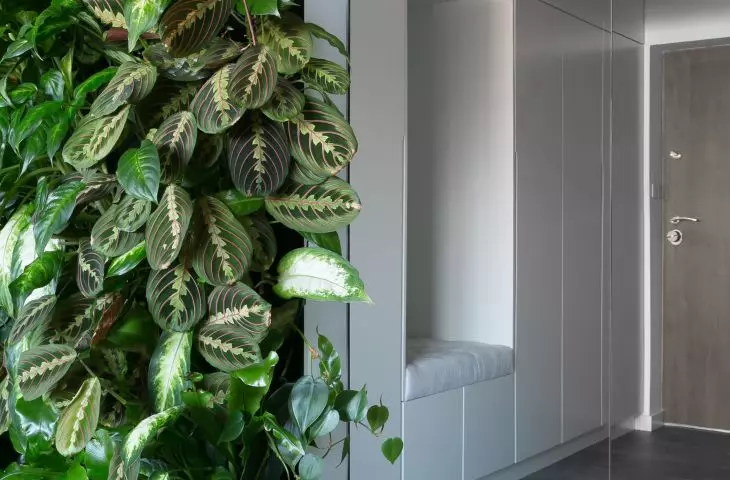 Mirrors add space 