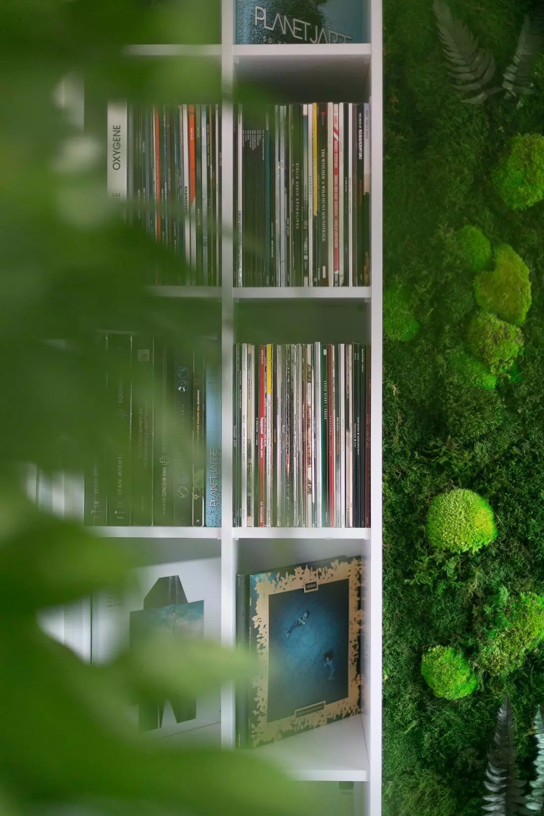 Żywa zieleń
i biblioteczka