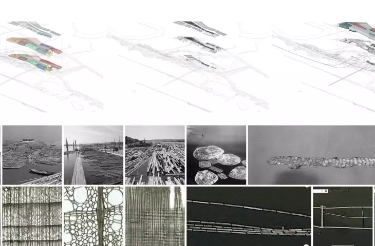 Design stages and inspiration