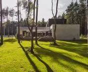 houses in estonian forest