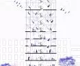 Berlin hostel project, cross-section