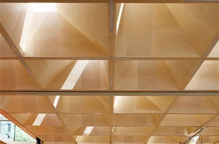 between the coffers, the architects inserted fifty-six 