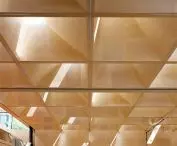 between the coffers, the architects inserted fifty-six 
