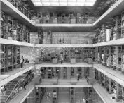 Cognitarium, wizualizacja wnętrza biblioteki