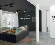 16. Międzynarodowa Wystawa Architektury w Wenecji