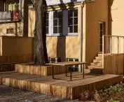 in the center of the project is a magnificent tree - glandular aylant
