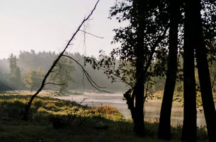home environment