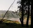 home environment