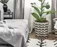 Biophilic design in interiors