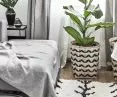 Biophilic design we wnętrzach