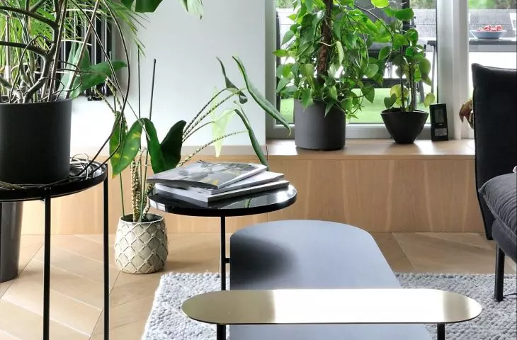 greenery in the living room
