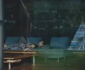 kadr z filmu „Parasite”, reżyseria Bong Joon‑ho, Korea Południowa, 2019